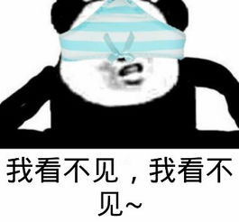 最新版qq增加了什么功能,qq更新和微信一样