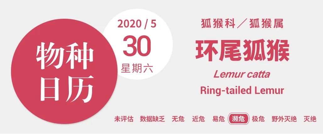 山海经里的神兽谁见过真正的,山海经中的神兽竟然在现实中