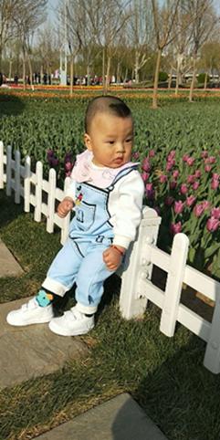 早教从现在开始,早教小步在家靠谱吗