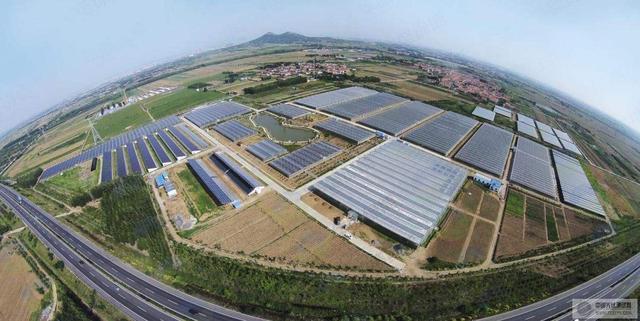 温室大棚有哪些优点,蔬菜大棚和温室大棚有什么不一样