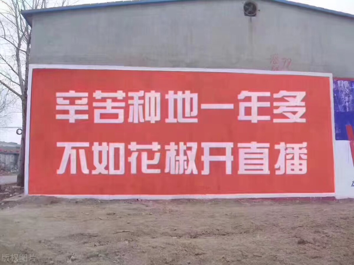 海外华人怎么充值花椒豆