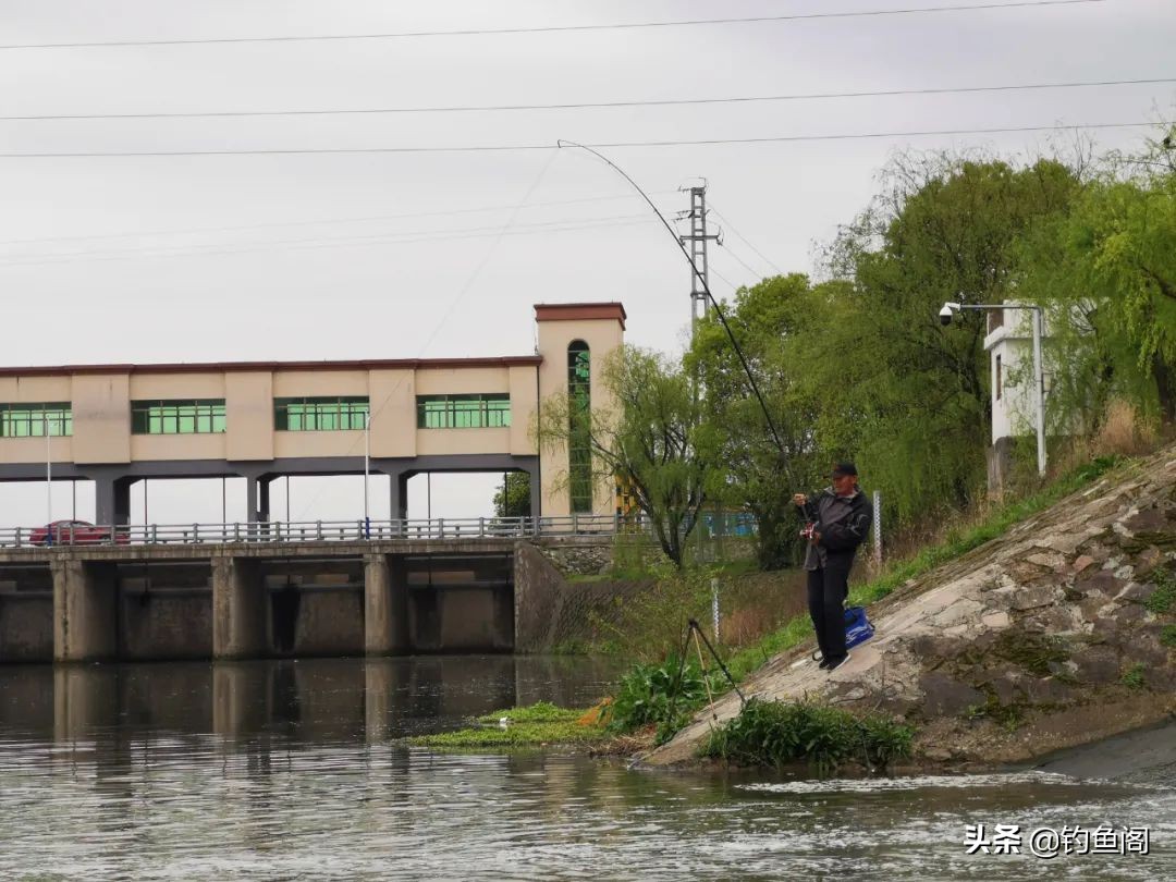 钓鱼与锚鱼区别,钓鱼跟锚鱼有什么区别