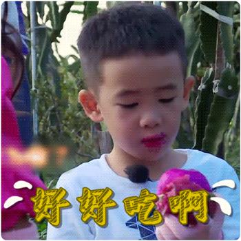 春节北京自驾海南攻略,春节自驾海口