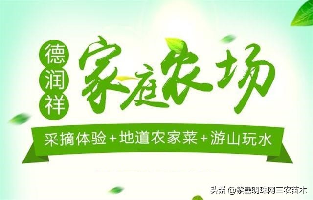 承德德润祥家庭农场,承德市德润祥家庭农场