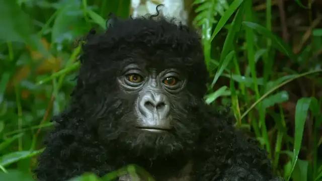 你在搞笑吗韩语,bbc搞笑视频