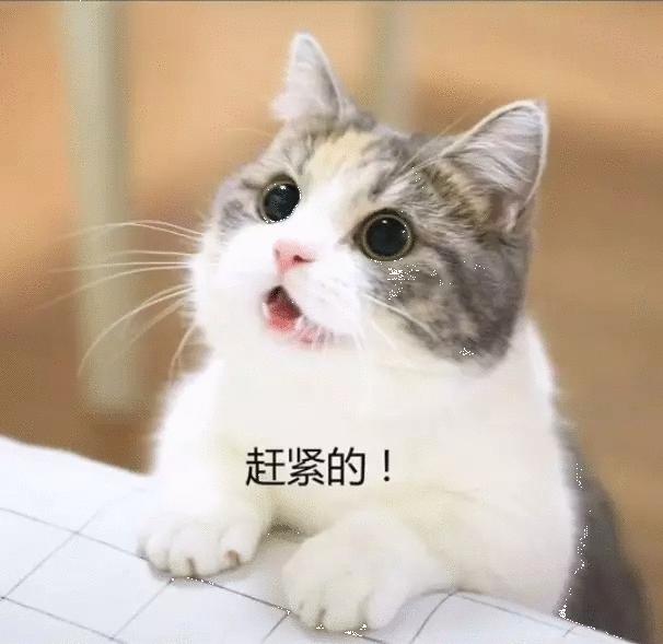 粤语aabb叠词大全,粤语叠词大全100句