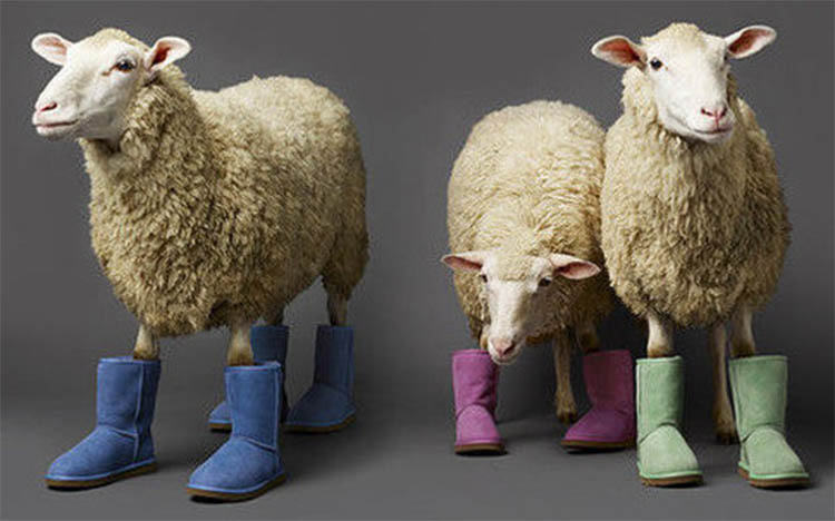 澳大利亚ugg哪个品牌好,ugg到底哪个是真的