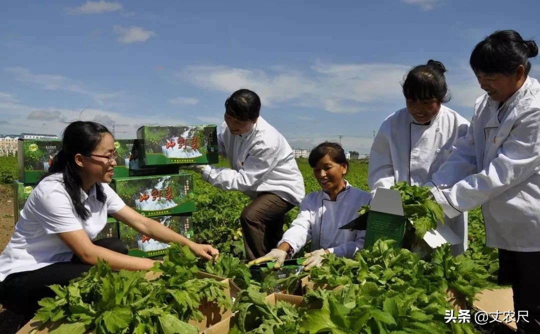 国家会强制关闭社区团购买菜吗,社区团购现状及未来国家会出手吗
