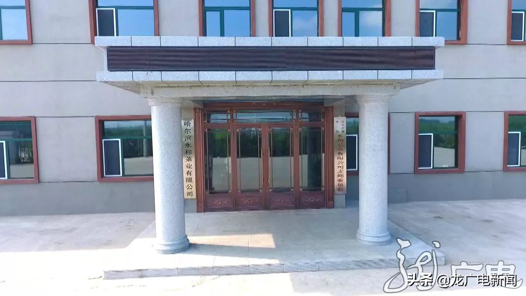 调整和优化产业结构的目标,黑龙江省2019年产业结构