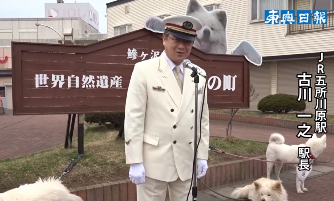 日本网红狗狗去世,日本狗死了