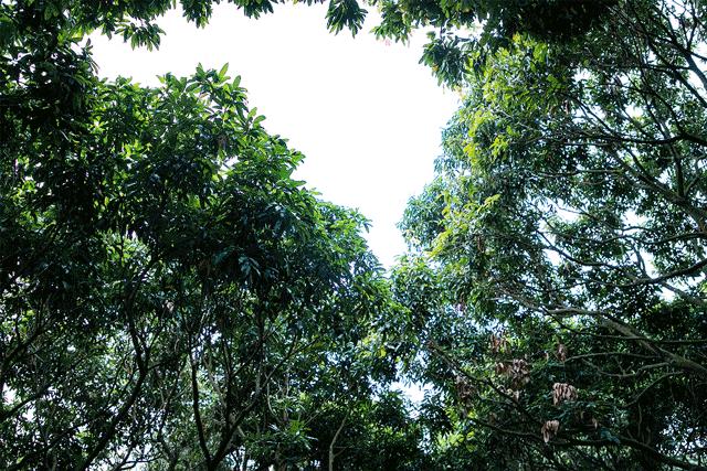 深圳游玩合集,深圳世界之窗游玩攻略必玩项目