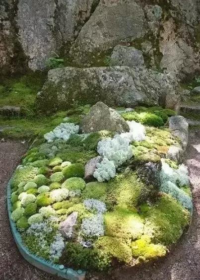 禅意庭院一定要用苔藓吗,禅意苔藓微景观制作视频