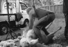 冬季打底内搭可外穿毛茸茸,美军抓绒衣保暖吗