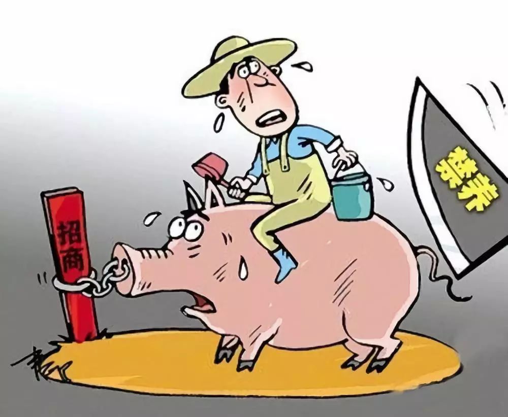 马云说养殖行业,未来养殖行业前景