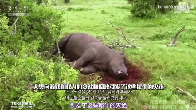 15岁怀孕,她被骗吃下*药炸**,一尸两命:有些人,这辈子不配为人