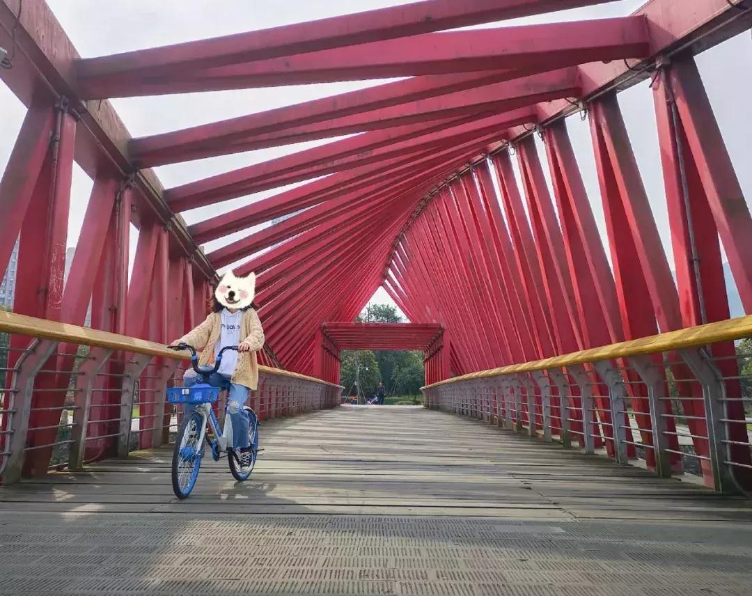 都江堰天府绿道骑行路线图,都江堰周边最美骑行路线