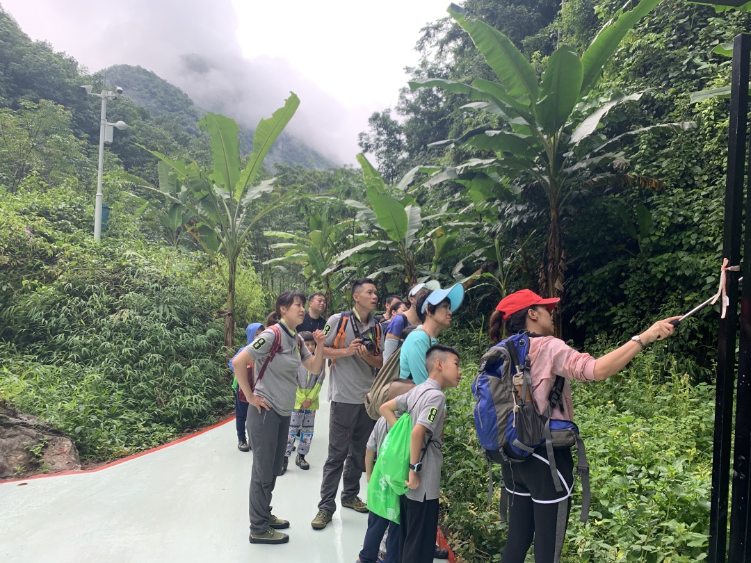 四季露营抖音团购套餐,星空营地抖音团购券