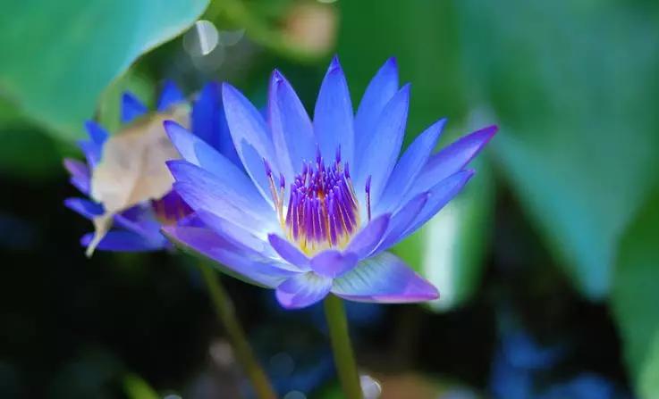 敏感肌可用的平价面膜,敏感肌好用的补水美白面膜