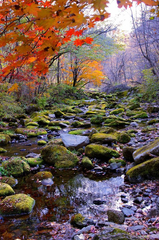 十一沿途风景,十一去红叶谷的景致