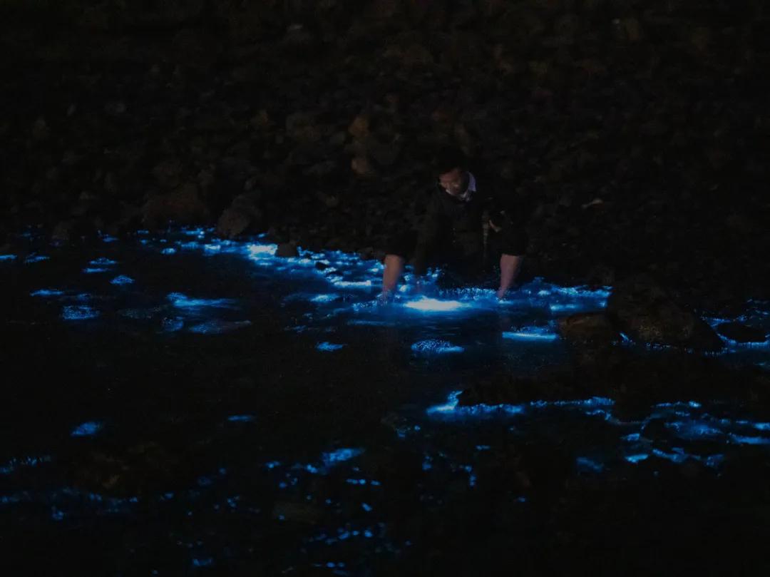 世界十大必去旅游城市,世界十大最值得去的地方