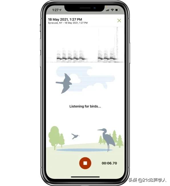 鸟叫声识别app,听声音识别鸟的软件