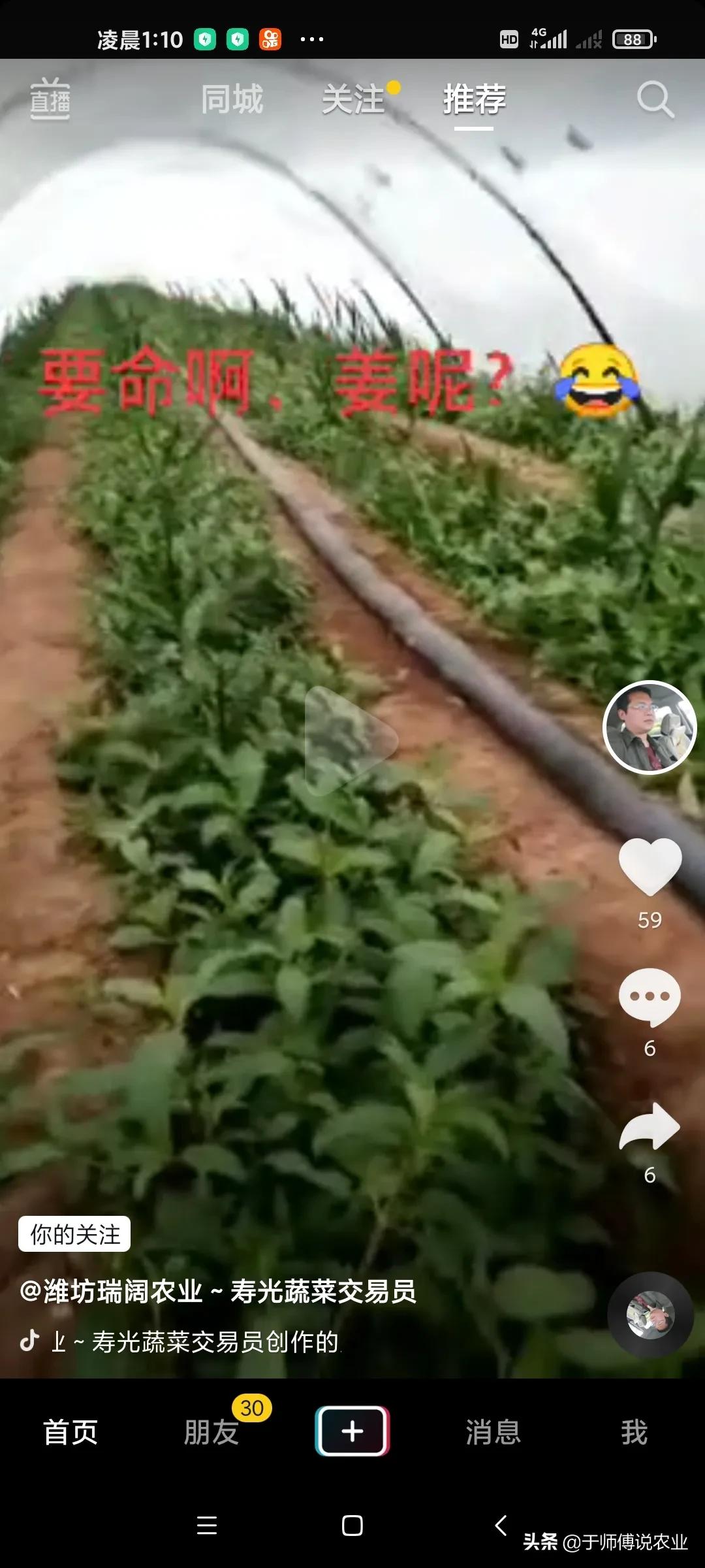 生姜黄叶病打什么农药,生姜杂草用什么药除