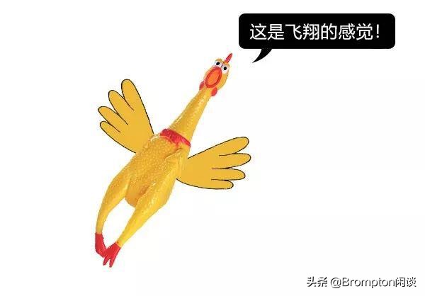 为什么女生平时要穿3角裤,女生为什么只能穿三角裤