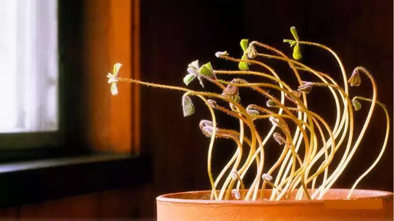 成功说服不同人的策略,成功说服他人技巧