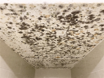 合肥金隅南七里爆料,合肥金隅南七里公摊