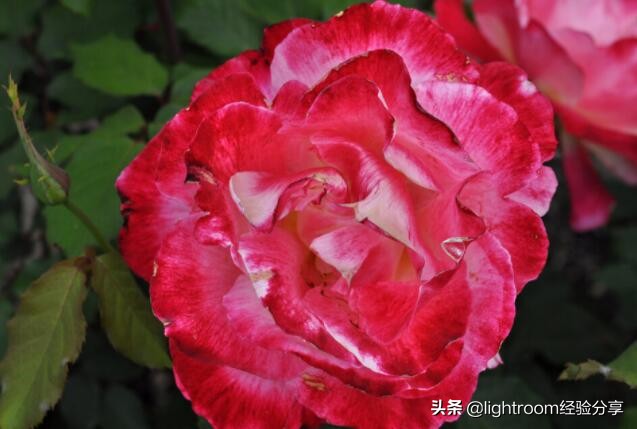 风光摄影自然光线使用方法,自然风景摄影中常用的几种光线