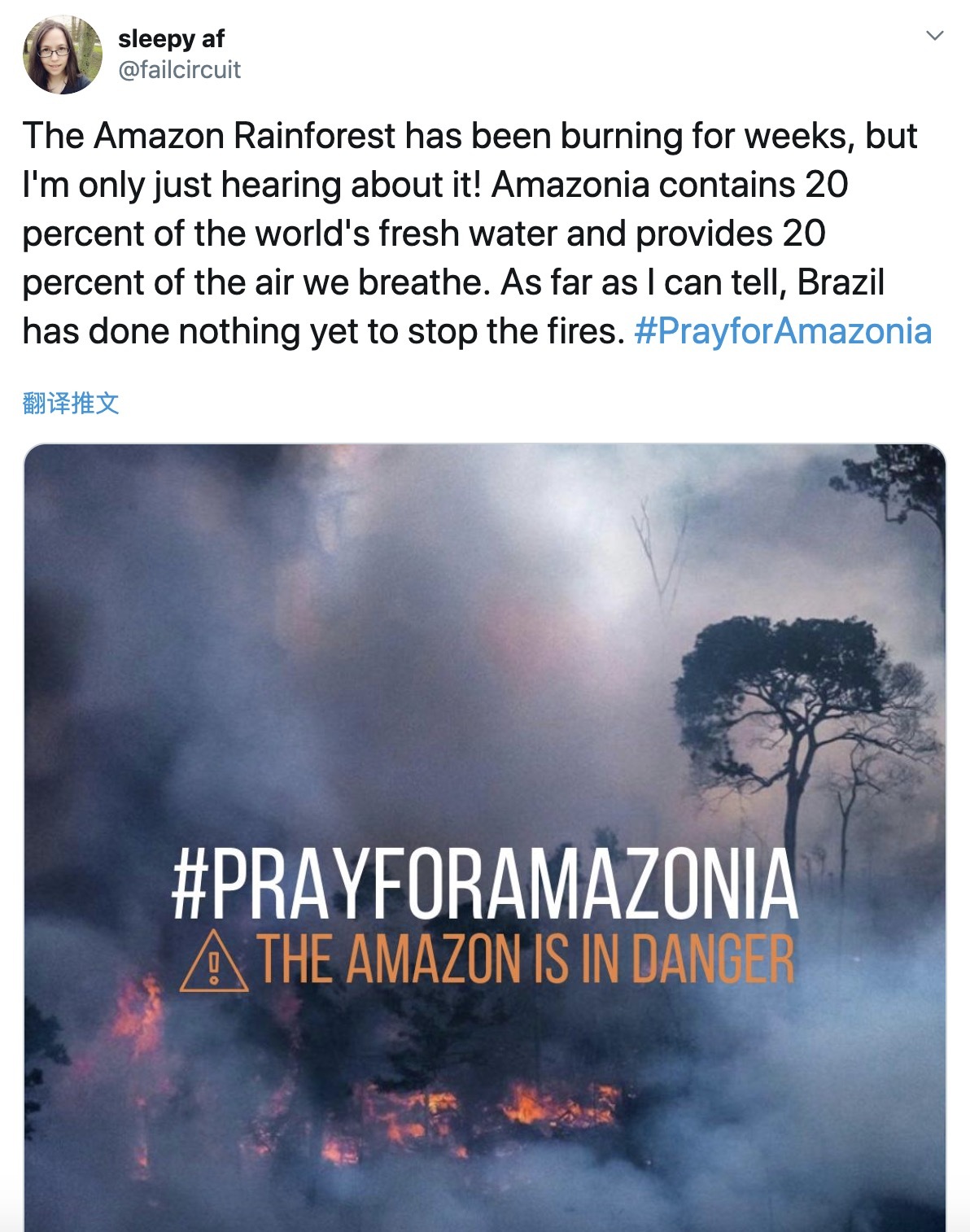 巴西亚马逊雨林损毁情况严峻,亚马逊热带雨林贯穿8个国家