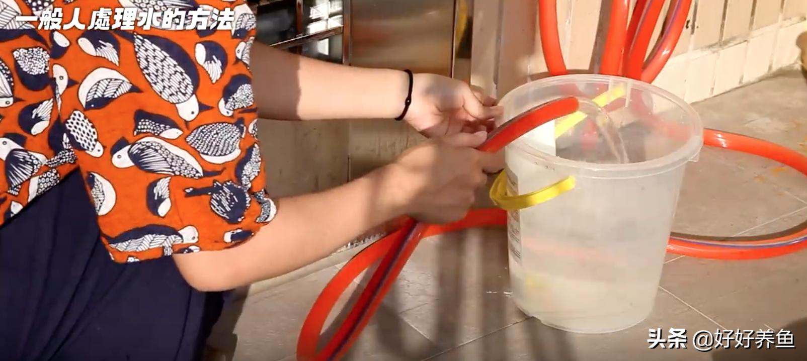 鱼缸换水注意事项养鱼老道,鱼缸养鱼换水的重要性