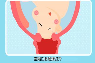 孕晚期都会关注的问题,孕晚期妈妈看些什么对宝宝好