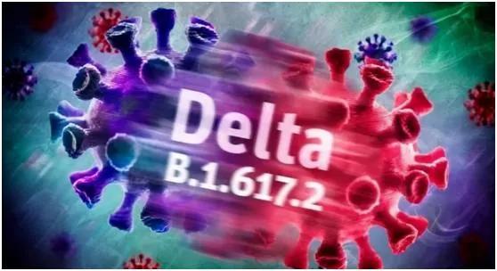 三分钟法治新闻全知道,人民法治直播视频