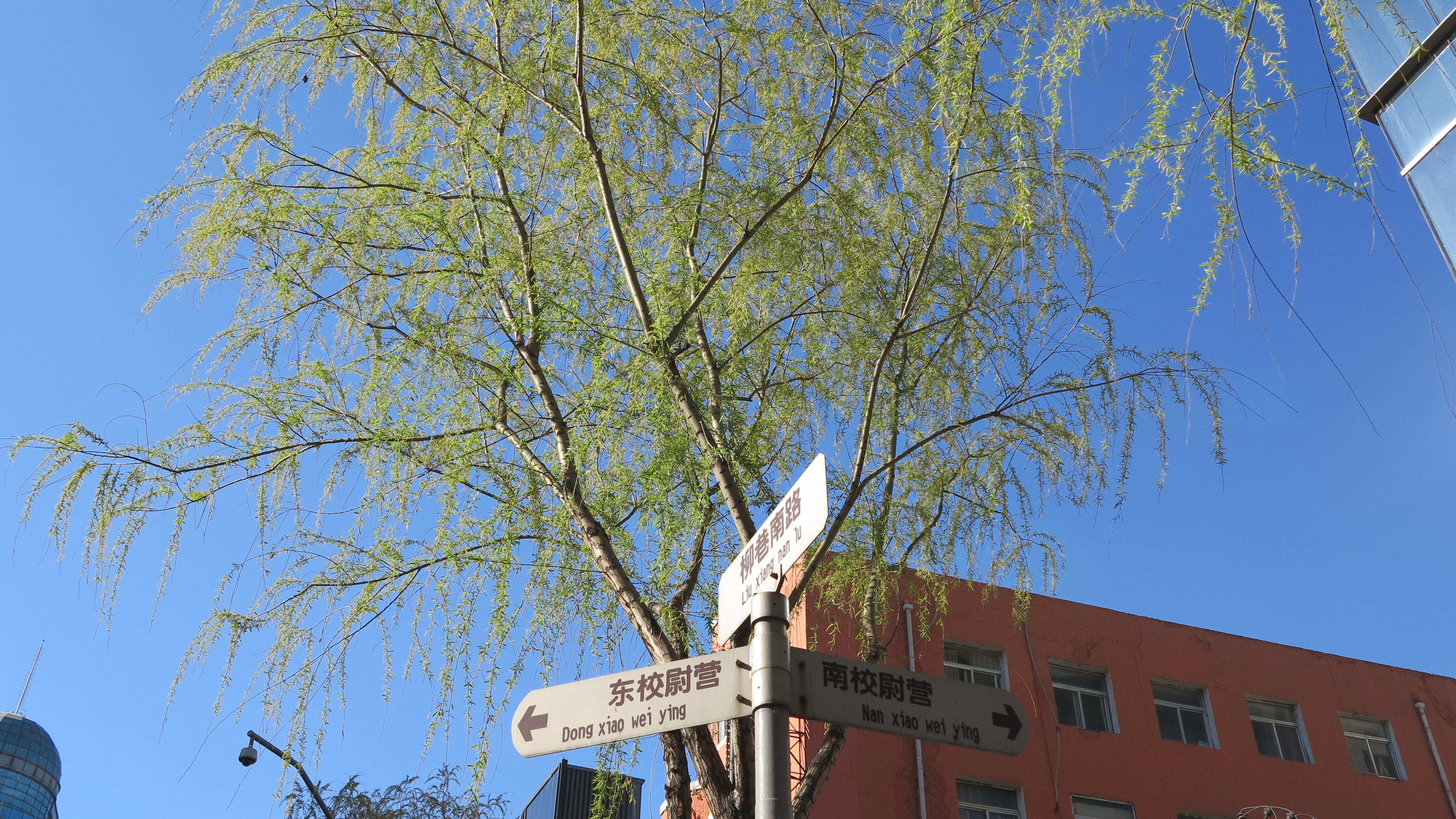 太原街百年历史,太原市柳巷历史悠久