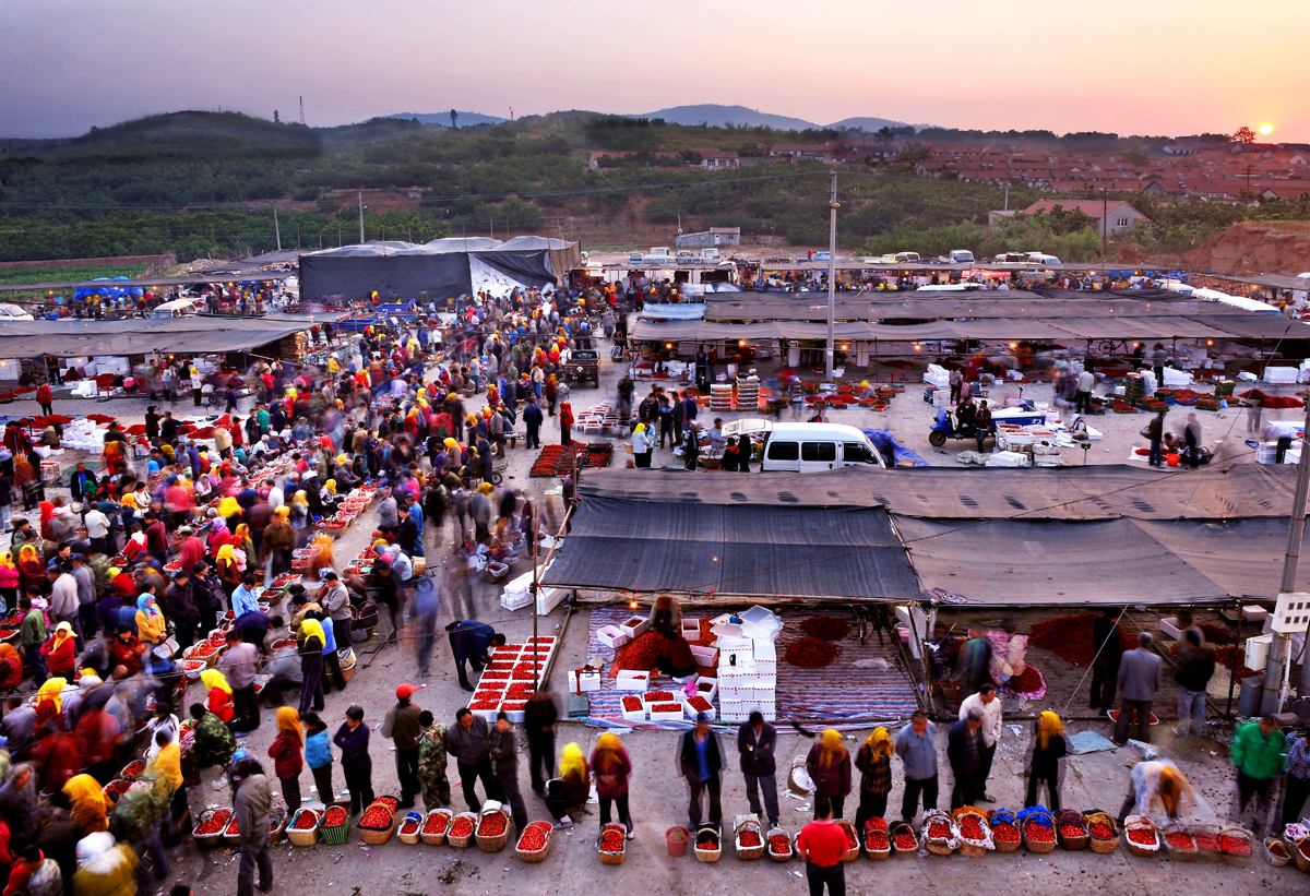 烟台樱桃减产严重吗,大樱桃减产
