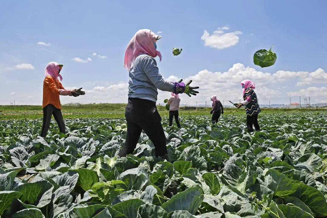 彪炳史册的脱贫攻坚战,彪炳史册的六个伟大成就
