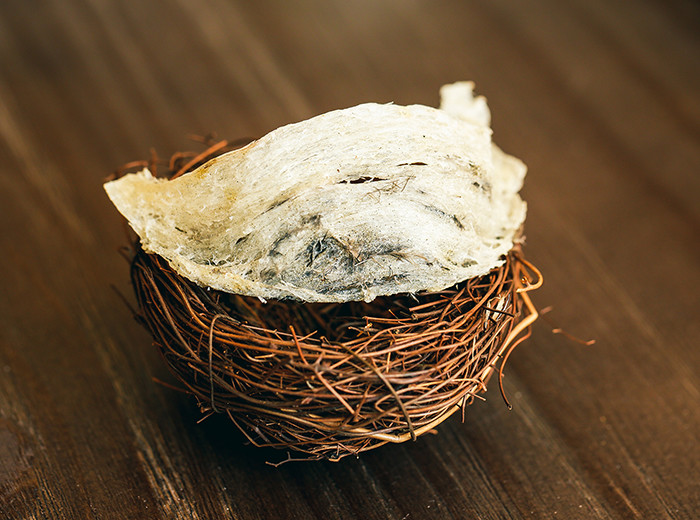 燕窝发黄是什么意思,燕窝发黄有霉味可以吃吗