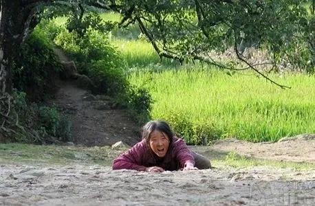 苗圃樱桃最后怎么死的,苗圃樱桃解读