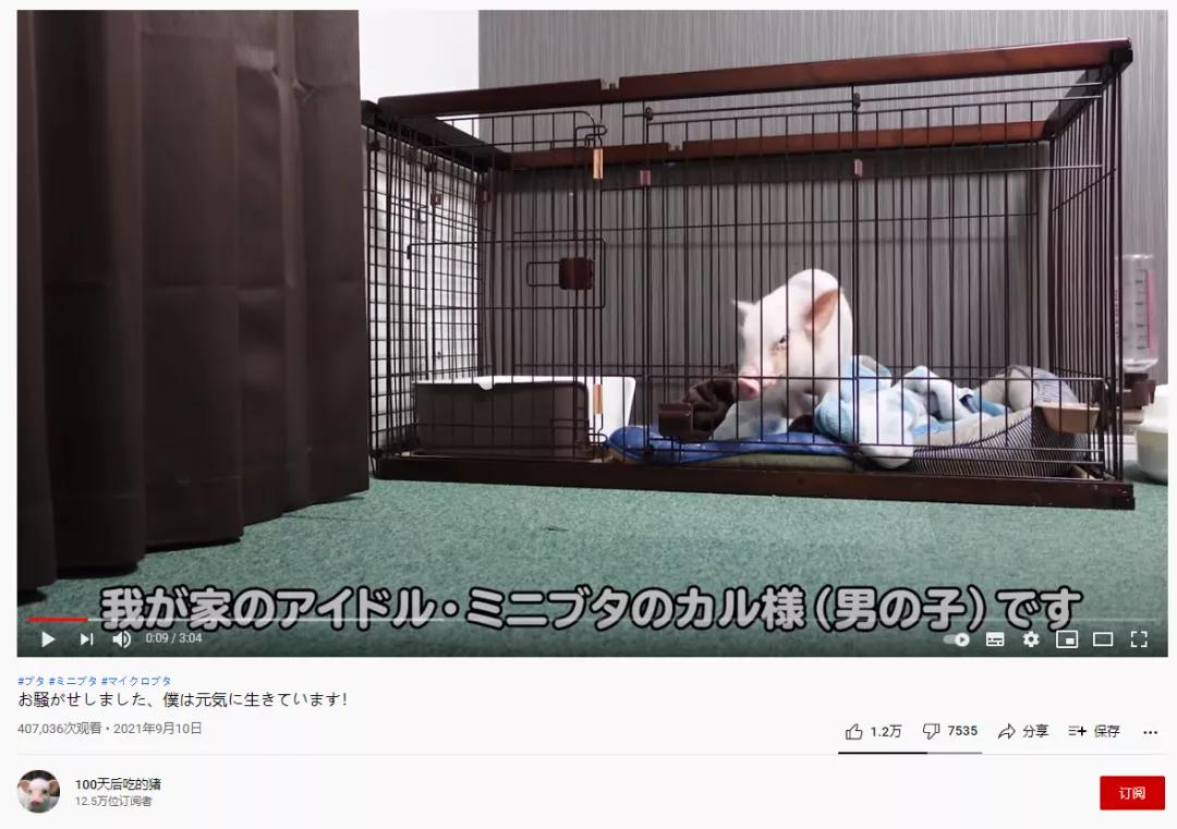 让人难过的不是吃食而是压抑,让人气愤的饮食片段