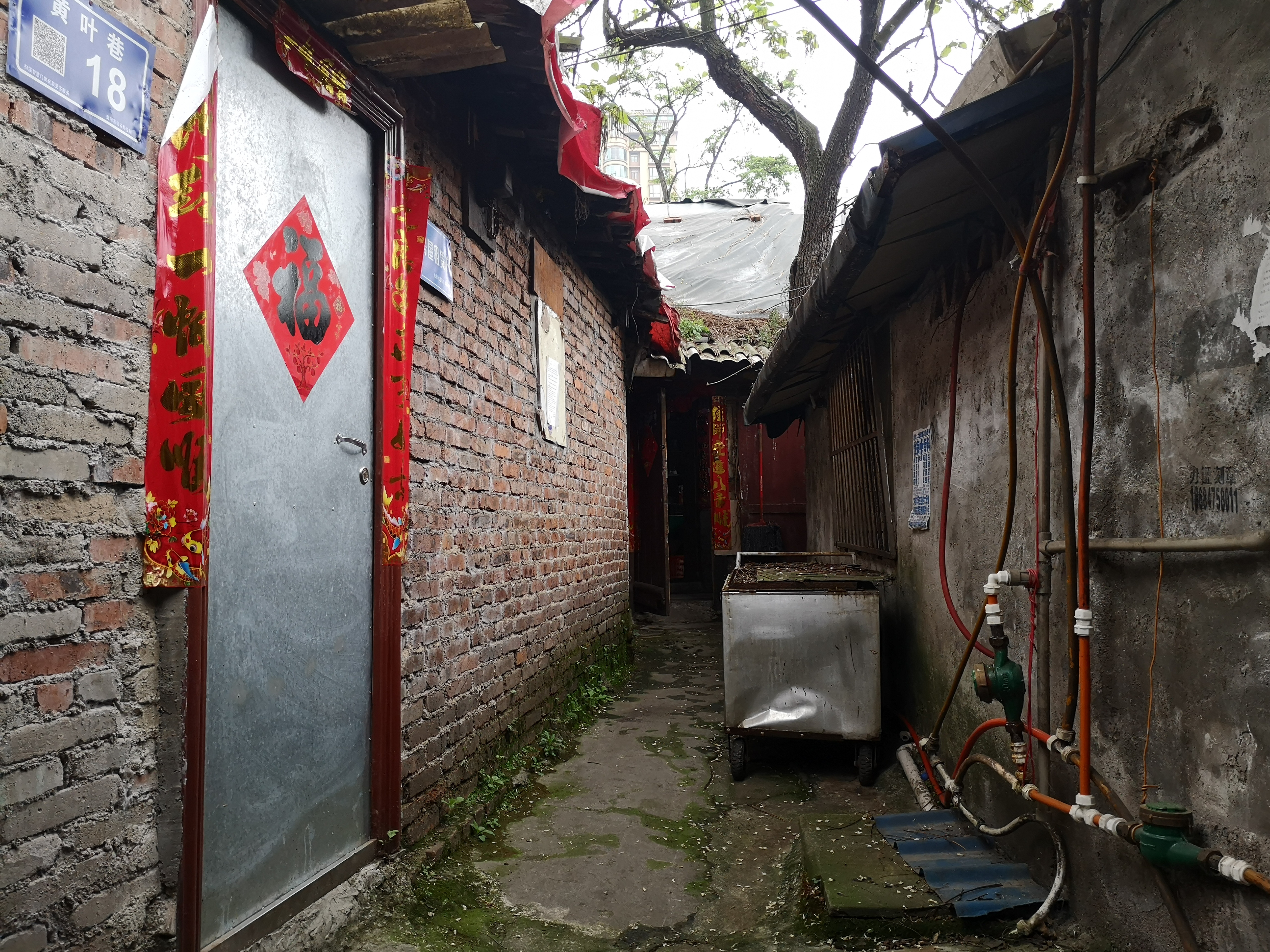 大营坡黄叶巷视频,贵阳老街巷之忠烈街