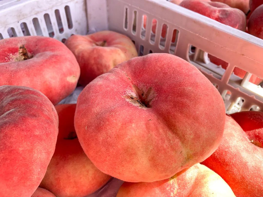 不错挺便宜的早市,附近比较旺的早市