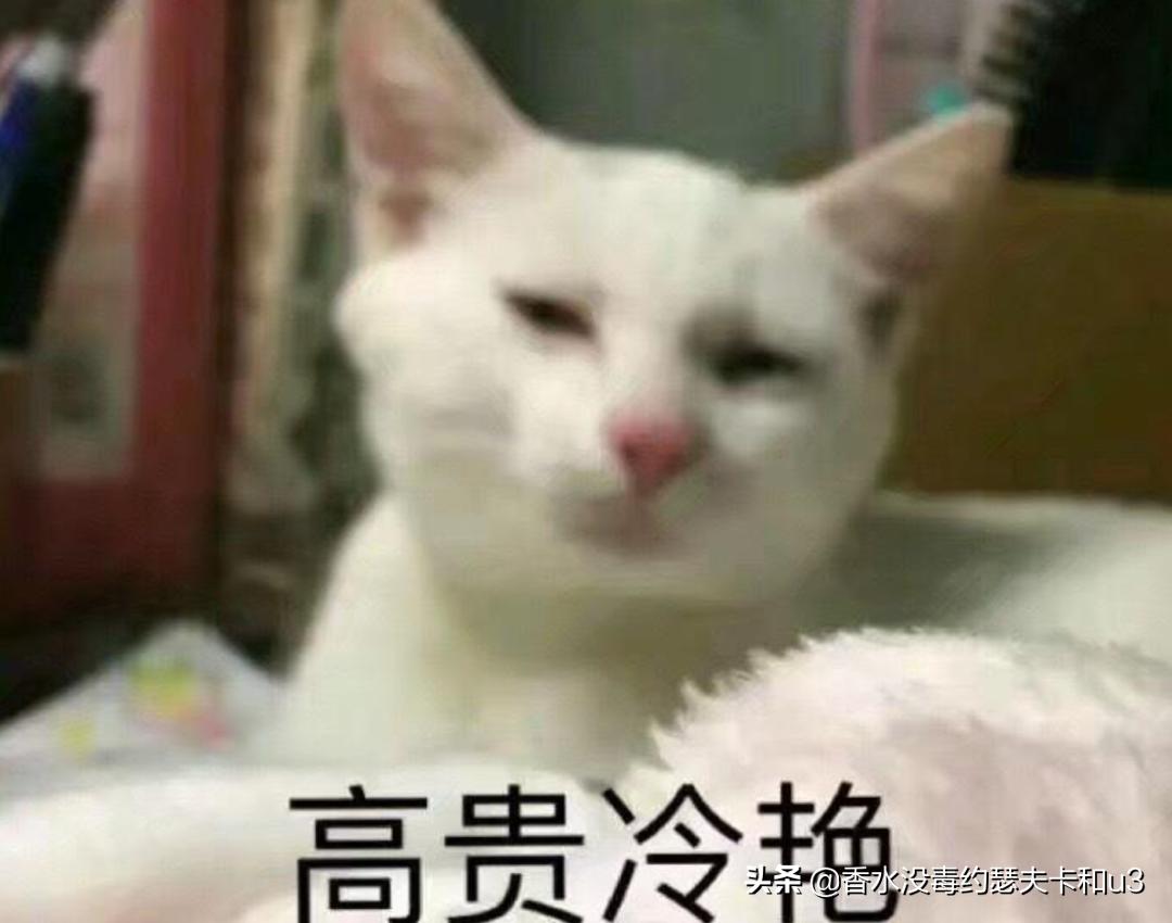 娇兰午夜飞行80周年收藏版香精,娇兰六十八万的香精