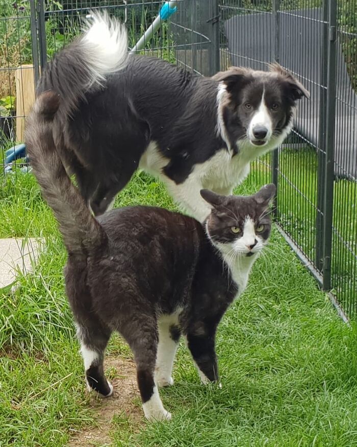 当不同物种的小动物们忽然“撞衫”…同款配色双倍的可爱