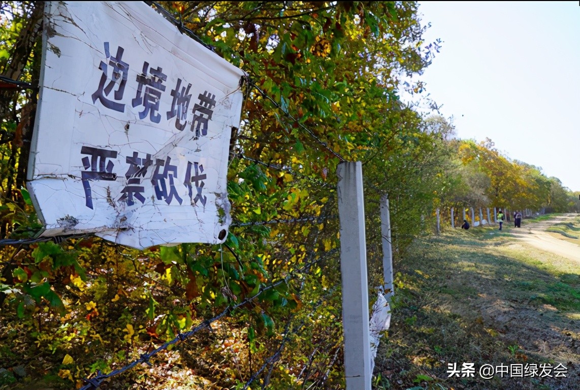 完达山1号在黑龙江哪里出现,完达山1号体型恢复了吗