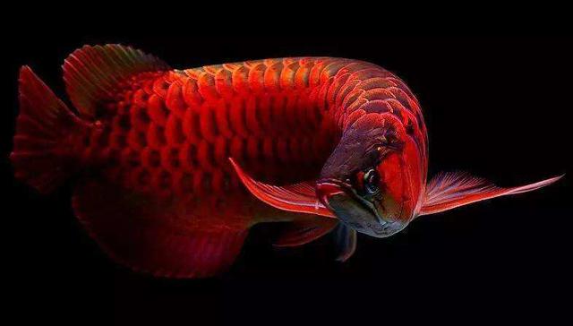 sos求救信号用眼睛表示,sos求救信号按错了没事吧