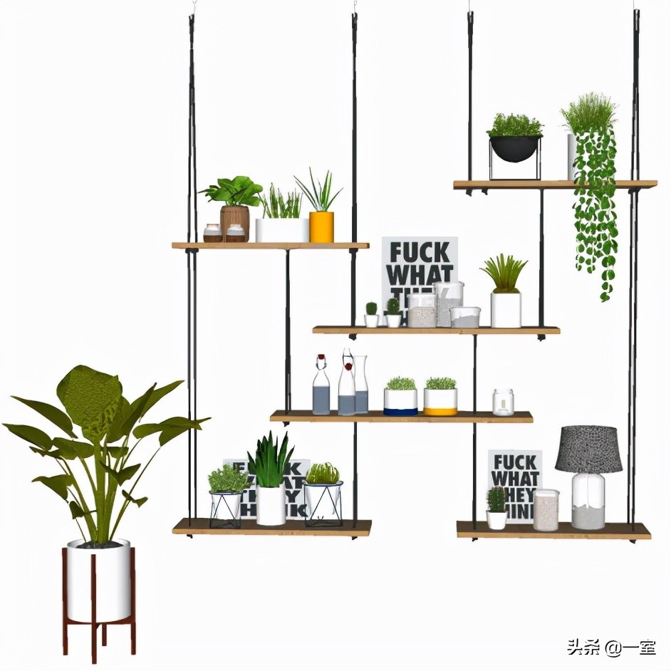 网红庭院植物搭配,网红绿植搭配技巧