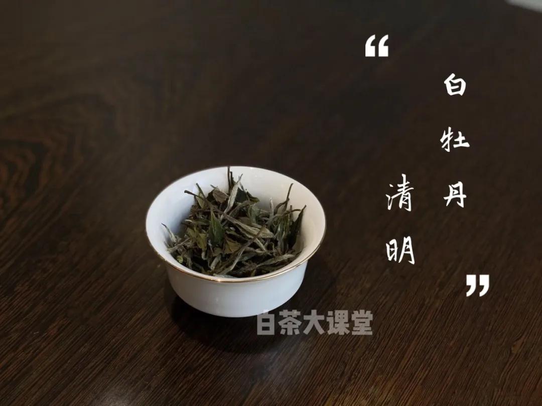 白茶好茶的标准,怎么样的白茶才是好茶