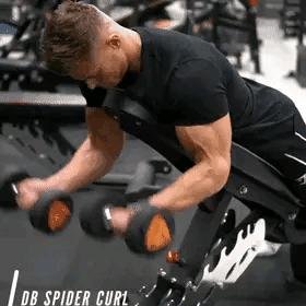 如何用哑铃快速锻炼手臂肌肉,如何用哑铃练手臂动作图解