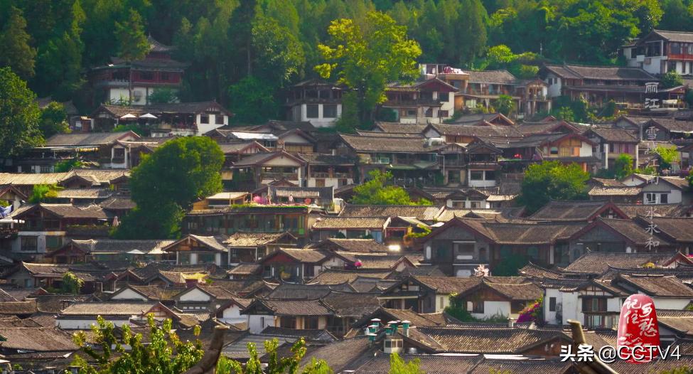 现在的丽江有多吸引人,丽江是一座来了上瘾的城市